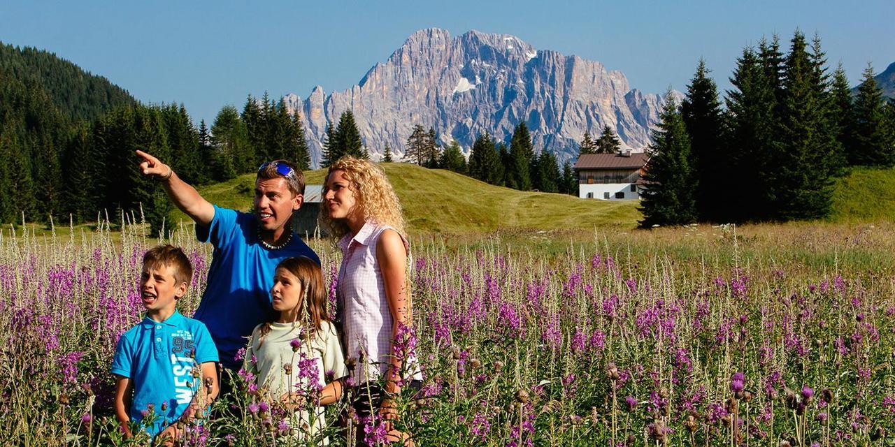 Casa Alpina Sacro Cuore Canale dʼAgordo Buitenkant foto