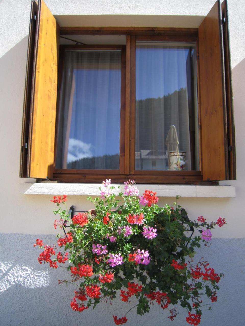 Casa Alpina Sacro Cuore Canale dʼAgordo Buitenkant foto